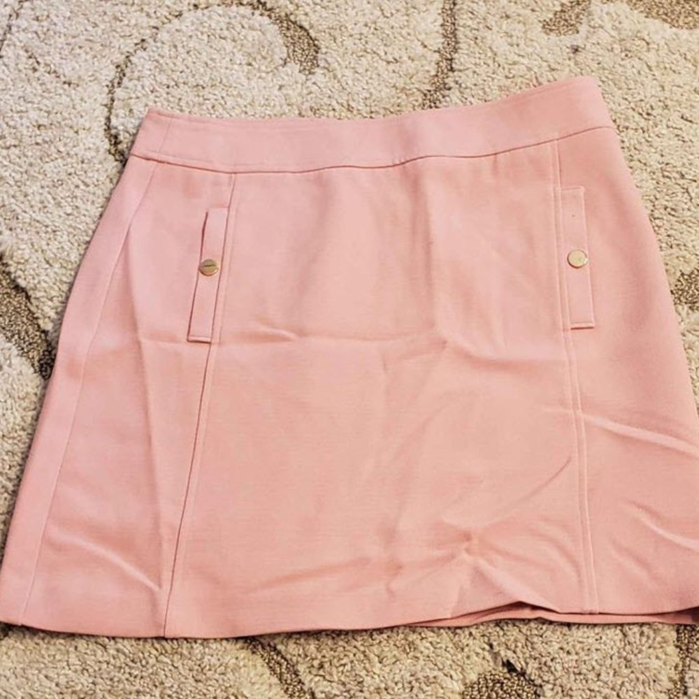 Loft Light Pink Dress Skirt NWT